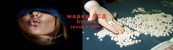 ПСИЛОЦИБИНОВЫЕ ГРИБЫ Баксан