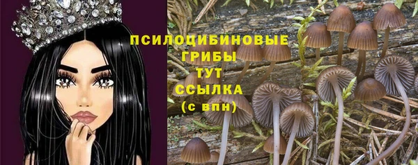 дурь Балабаново
